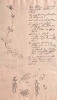 Файл : goethe_43a.jpg
Размер файла: 65KB
Размеры : 491x850
Дата добавления : May 08, 2009 goethe_43a.jpg