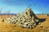 Файл : OK_134.jpg
Размер файла: 191KB
Размеры : 1000x656
Дата добавления : June 12, 2009 OK_134.jpg