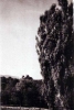 Файл : Goetheanum_213.jpg
Размер файла: 31KB
Размеры : 406x600
Дата добавления : June 07, 2008 Goetheanum_213.jpg