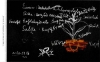 Файл : ds_354_09.jpg
Размер файла: 28KB
Размеры : 600x372
Дата добавления : May 13, 2008 ds_354_09.jpg