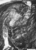 Файл : rspic_55-a.jpg
Размер файла: 48KB
Размеры : 427x600
Дата добавления : April 09, 2008 rspic_55-a.jpg